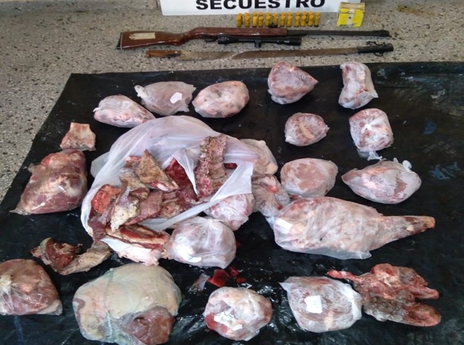 Secuestraron 45 kilos de carnes, armas y cartuchos