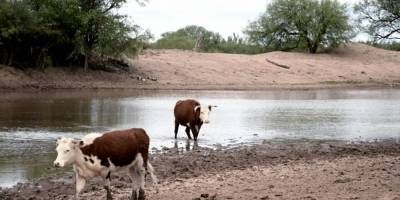 Entre Ríos y la peor sequía en 60 años
