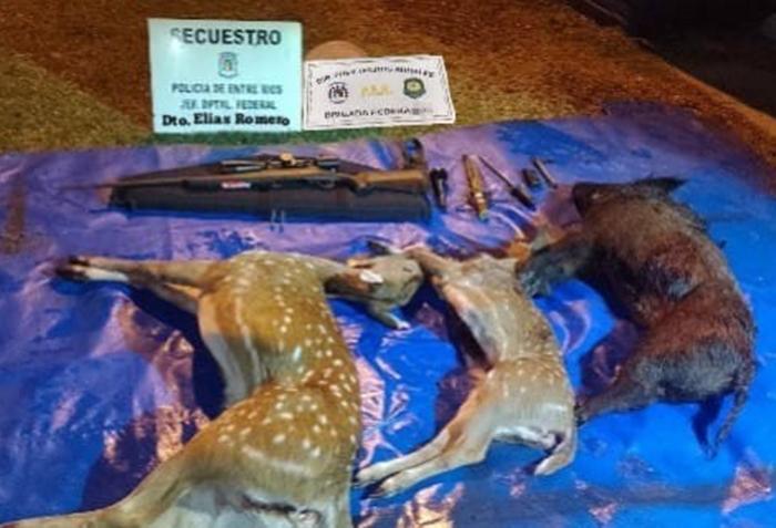 Tres cazadores furtivos fueron interceptados con animales silvestres