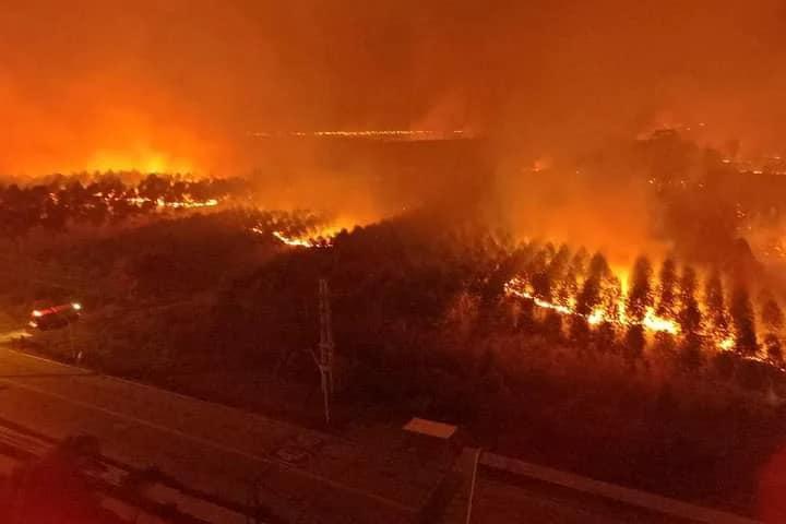 Incendio afectó unas 100 hectáreas en la zona de Osvaldo Magnasco y Villa Zorraquín