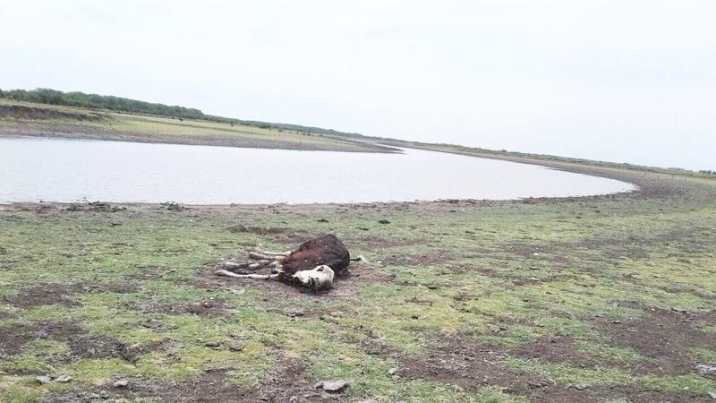 En la provincia, la sequía no da tregua y la producción vive una situación límite