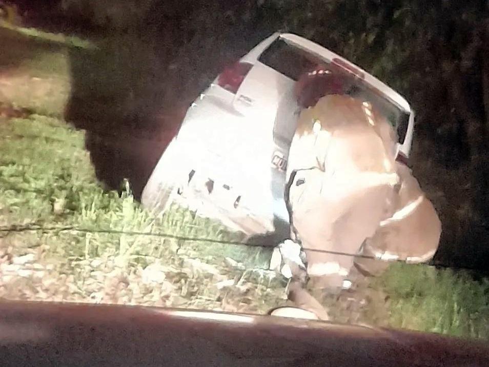 Un auto despistó y cayó en una profunda zanja