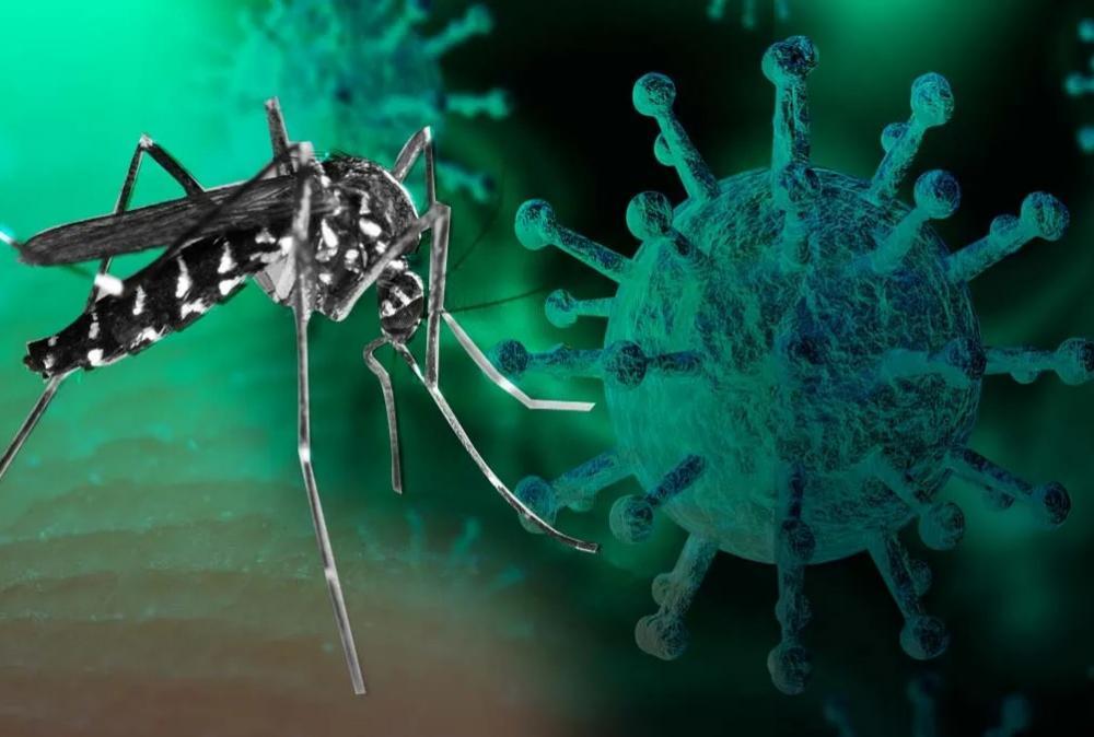 El número de casos de dengue y Covid-19 continúa aumentando