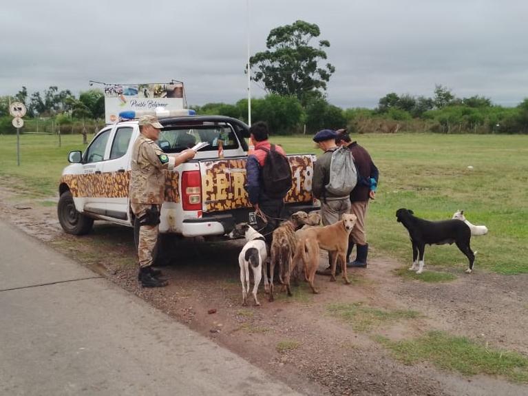 Detectaron a 17 cazadores furtivos con más de 30 perros