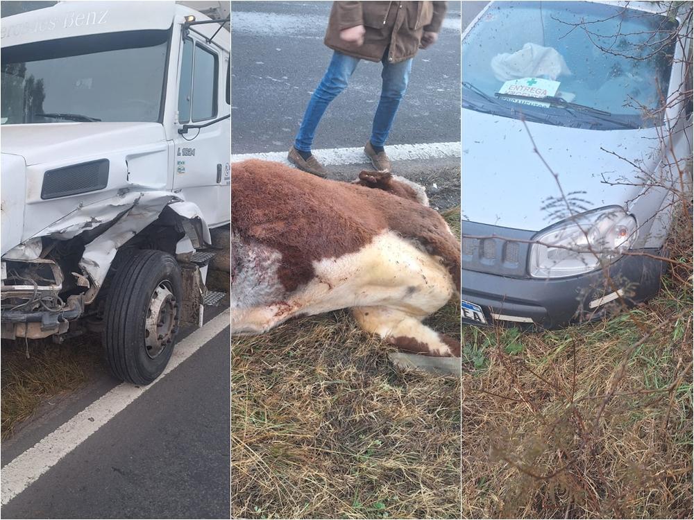 Un camión y un utilitario atropellaron a una vaca en la ruta 18