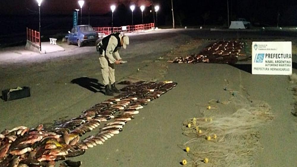 Más de tres toneladas de pescado fueron decomisadas en un operativo