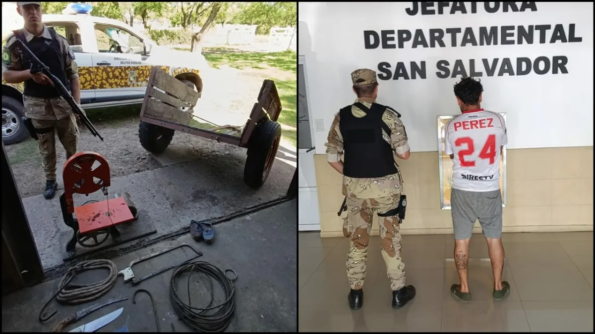 Realizan un allanamiento en colonia López por un caso de abigeato: un detenido Realizan un allanamiento en colonia López por un caso de abigeato: un detenido