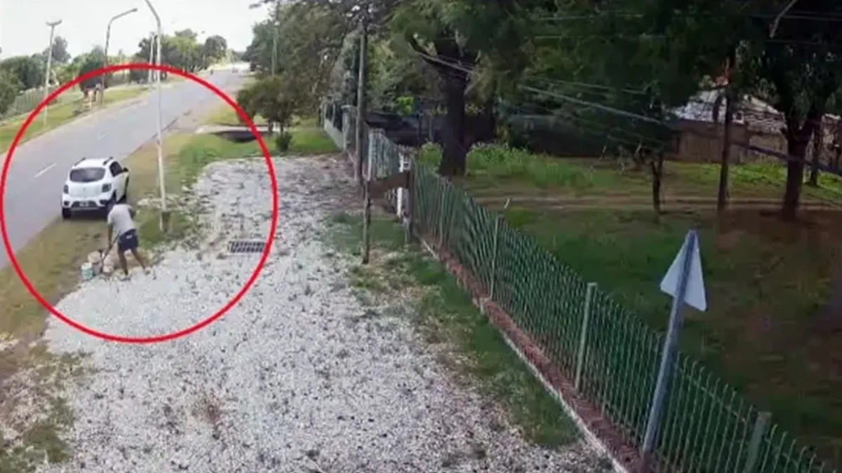 Artista que se presentará en el Taipero escrachó a un ladrón de piedras decorativas Artista que se presentará en el Taipero escrachó a un ladrón de piedras decorativas