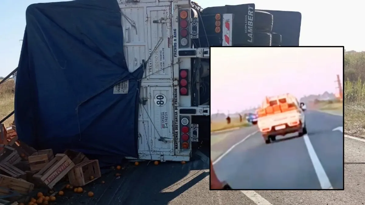 Las naranjas de Inspección: qué dice la instrucción sumaria, quiénes son los afectados y donde fueron a parar las frutas Las naranjas de Inspección: qué dice la instrucción sumaria, quiénes son los afectados y donde fueron a parar las frutas