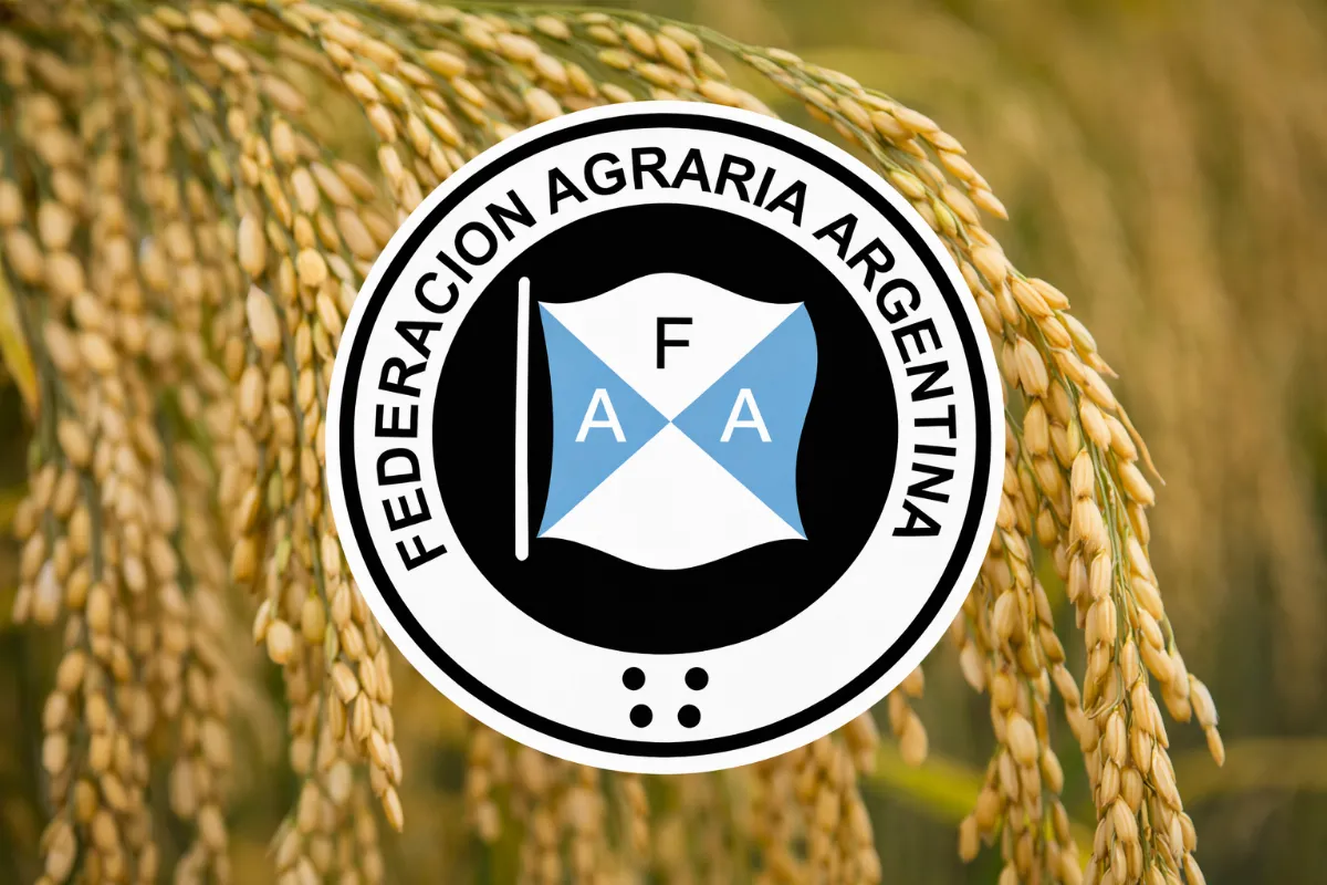 “El sector arrocero enfrenta una rentabilidad nula y un escenario de extrema vulnerabilidad" “El sector arrocero enfrenta una rentabilidad nula y un escenario de extrema vulnerabilidad"