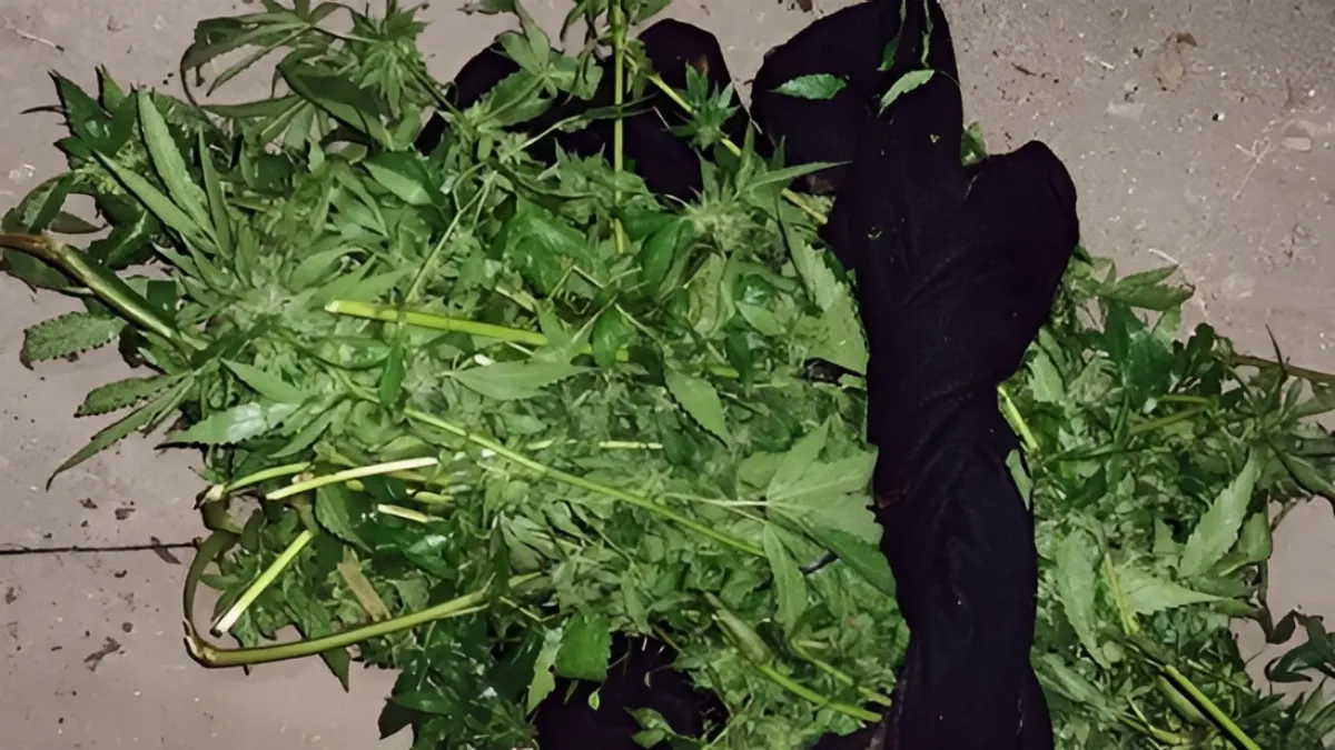 Detienen a un joven por tentativa de robo, amenazas y tenencia de droga en Villaguay Detienen a un joven por tentativa de robo, amenazas y tenencia de droga en Villaguay