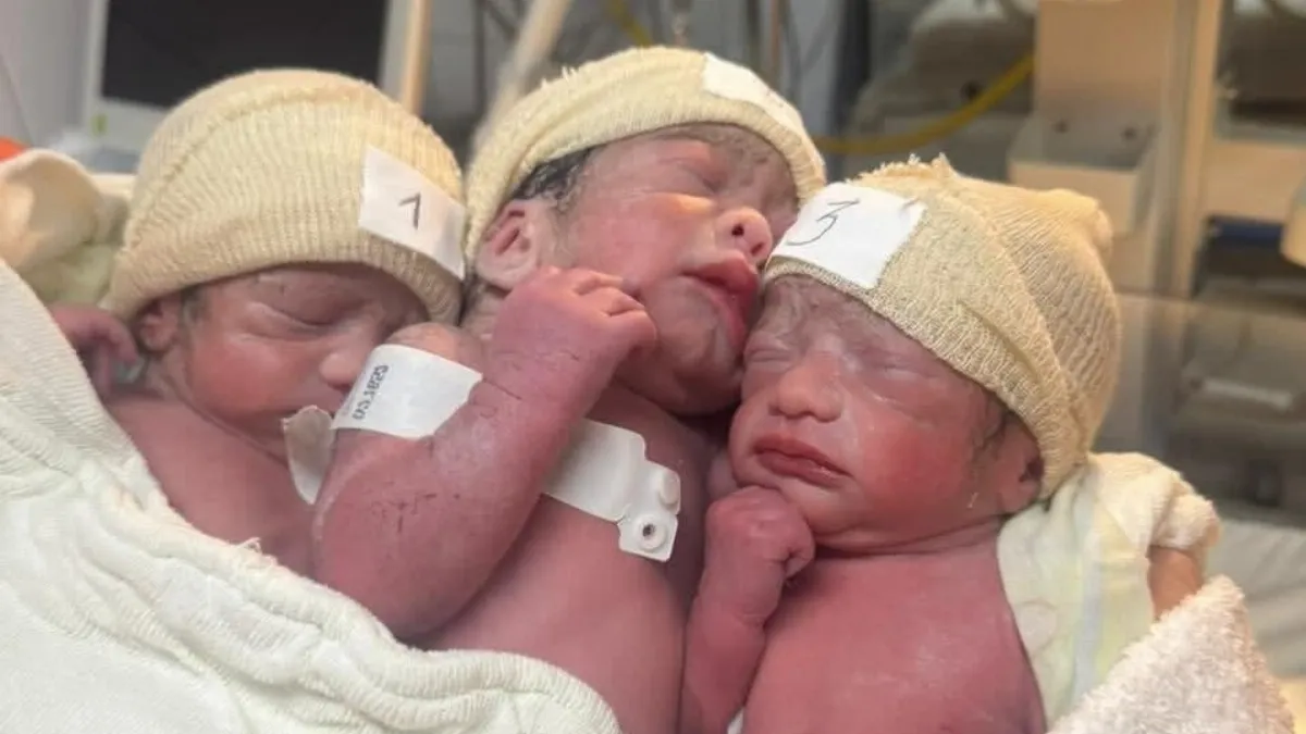 “Tres pequeños milagros”: nacieron trillizos en el hospital Masvernat de Concordia “Tres pequeños milagros”: nacieron trillizos en el hospital Masvernat de Concordia