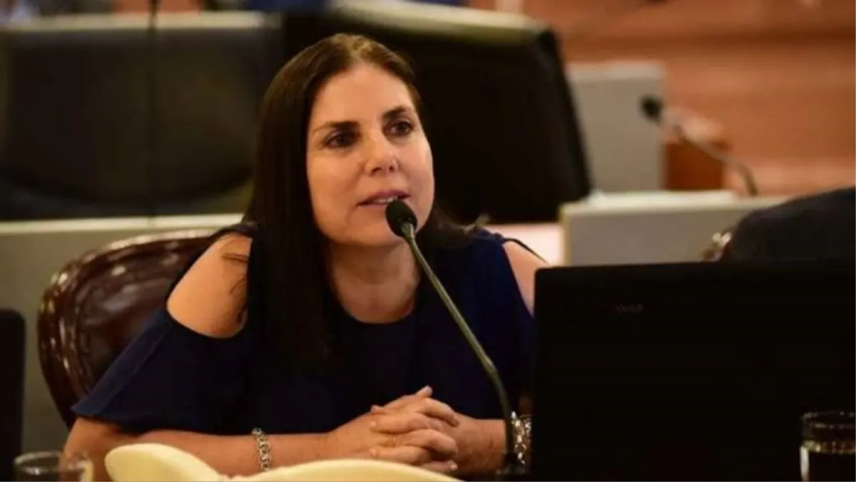 Suicidios: Lena habló de "falta de planificación durante décadas" Suicidios: Lena habló de "falta de planificación durante décadas"