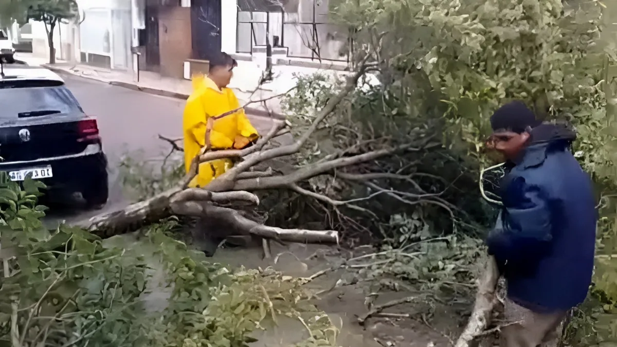 Fuertes precipitaciones generaron complicaciones en varios barrios de Concordia Fuertes precipitaciones generaron complicaciones en varios barrios de Concordia