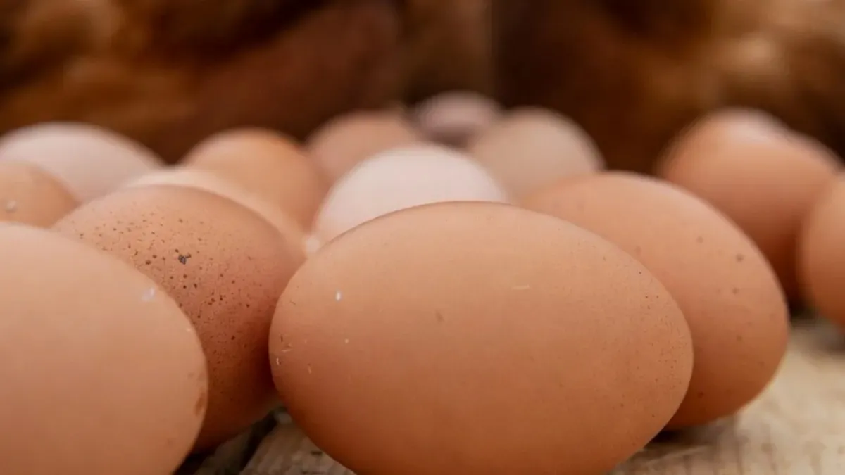 Argentina se posicionó como el mayor consumidor de huevos del mundo Argentina se posicionó como el mayor consumidor de huevos del mundo