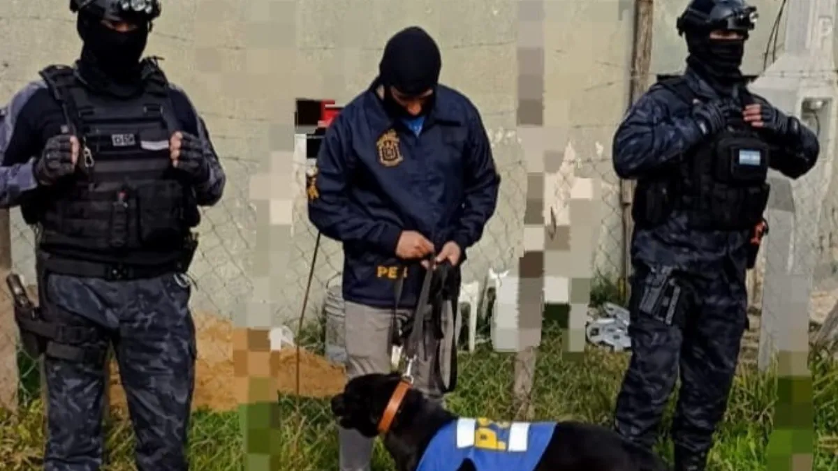 Detuvieron a una mujer y secuestraron cocaína, marihuana y dinero en un allanamiento por narcomenudeo Detuvieron a una mujer y secuestraron cocaína, marihuana y dinero en un allanamiento por narcomenudeo