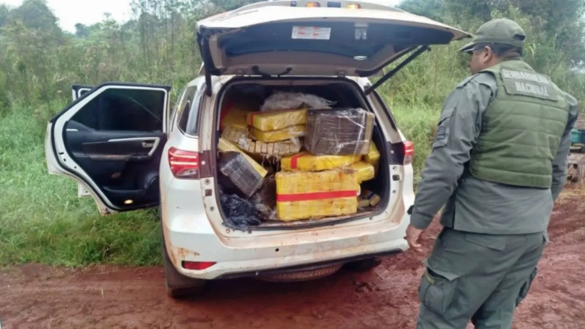 Incautaron más de 900 kilos de marihuana en un operativo de Gendarmería en Misiones Incautaron más de 900 kilos de marihuana en un operativo de Gendarmería en Misiones