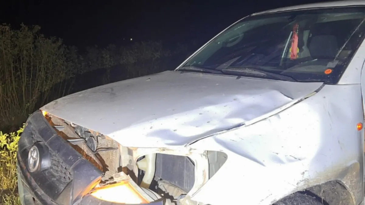 Una camioneta chocó contra un vacuno en un camino vecinal de San Salvador Una camioneta chocó contra un vacuno en un camino vecinal de San Salvador