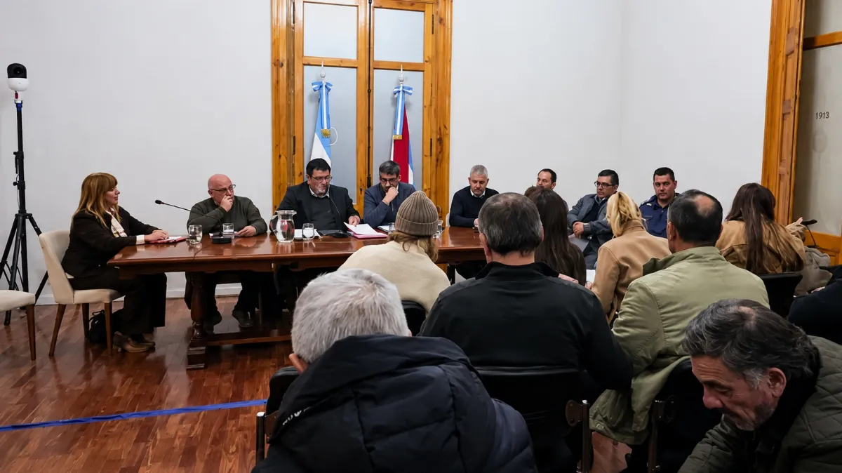 Funcionario de Zambón expuso en el Senado en nombre de los municipales Funcionario de Zambón expuso en el Senado en nombre de los municipales