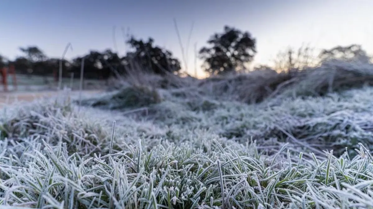 Llega una fuerte irrupción de aire frío polar durante este fin de semana Llega una fuerte irrupción de aire frío polar durante este fin de semana