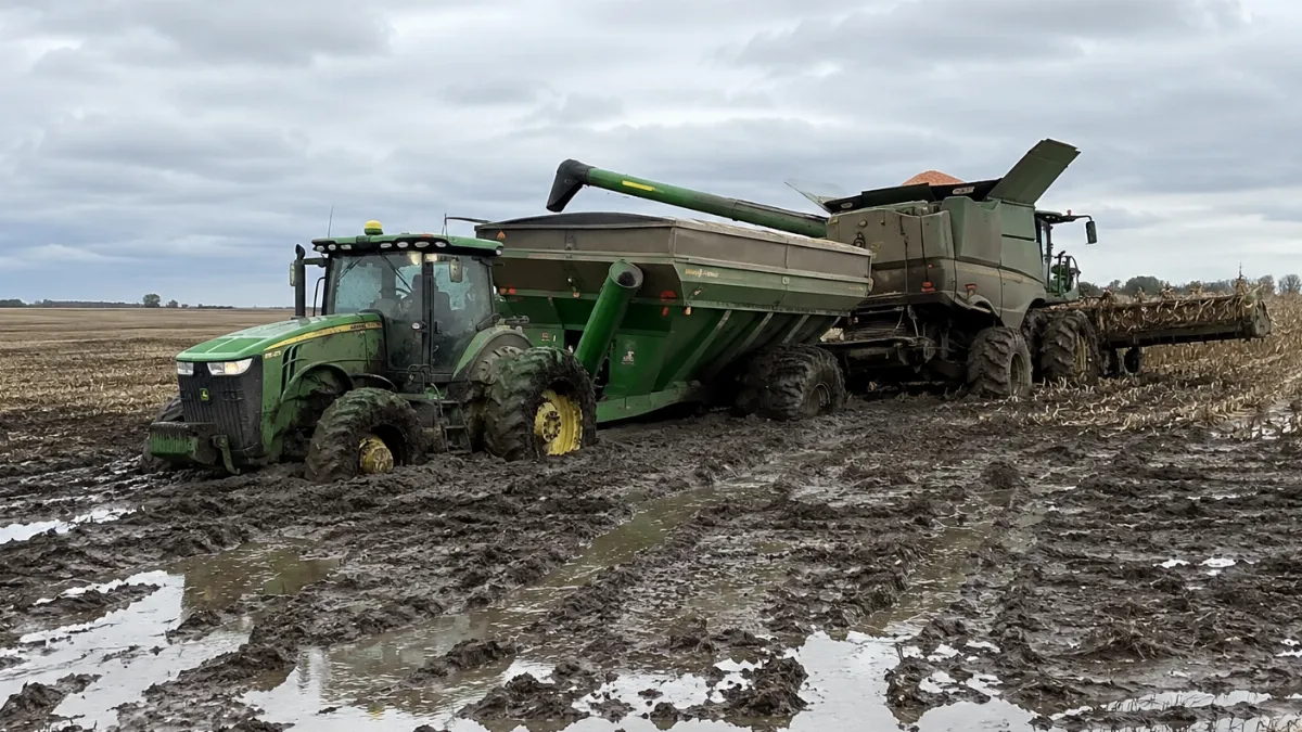 El exceso de humedad condiciona el avance de la campaña agrícola en el país El exceso de humedad condiciona el avance de la campaña agrícola en el país