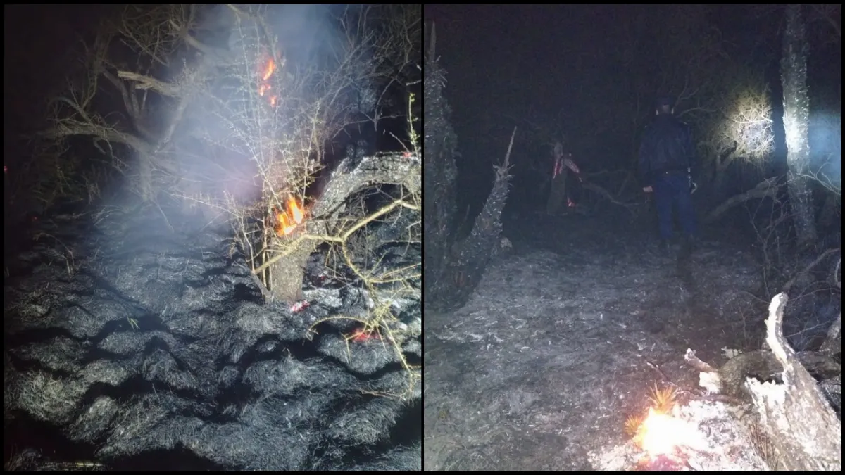 Bomberos controlaron un incendio forestal en Mojones Sud Bomberos controlaron un incendio forestal en Mojones Sud