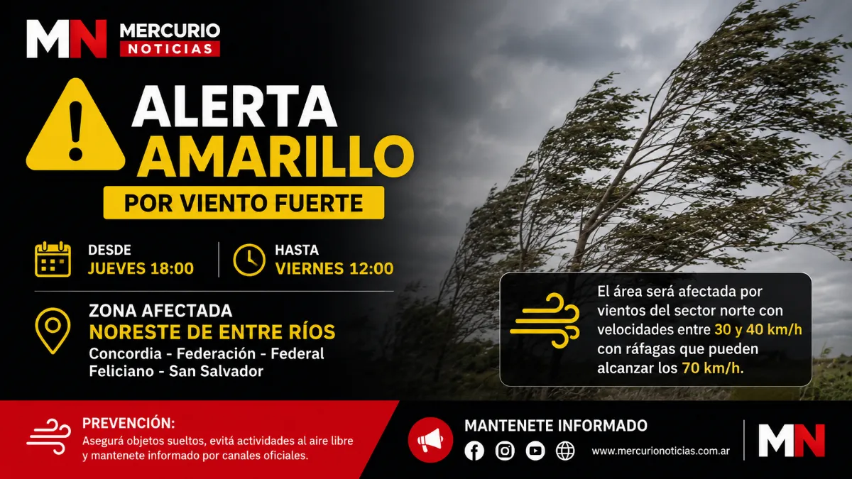Anuncian un alerta amarillo por vientos fuertes para el noreste de Entre Ríos Anuncian un alerta amarillo por vientos fuertes para el noreste de Entre Ríos