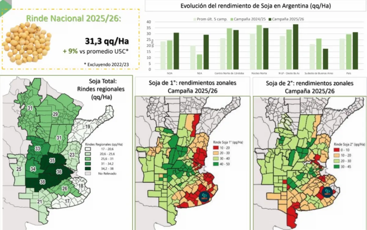 La producción de soja alcanzó las 50,1 millones de toneladas en la campaña 2025/26 La producción de soja alcanzó las 50,1 millones de toneladas en la campaña 2025/26