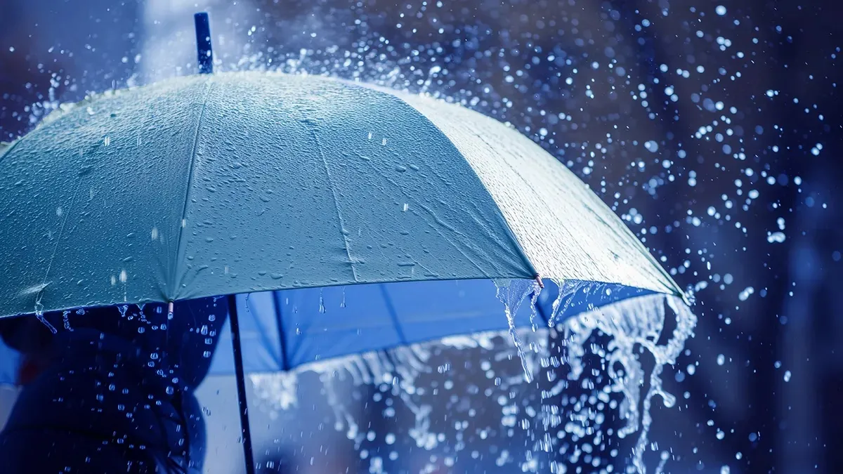 Fin de semana con descenso de temperatura, lluvias y tiempo inestable en Entre Ríos Fin de semana con descenso de temperatura, lluvias y tiempo inestable en Entre Ríos