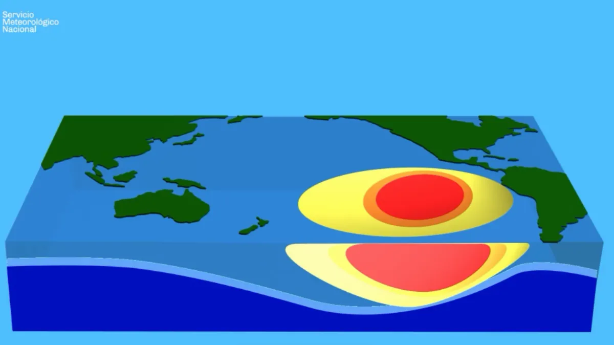 Meteorólogo advierte que el fenómeno de El Niño traerá lluvias intensas e insta a planificar medidas preventivas Meteorólogo advierte que el fenómeno de El Niño traerá lluvias intensas e insta a planificar medidas preventivas