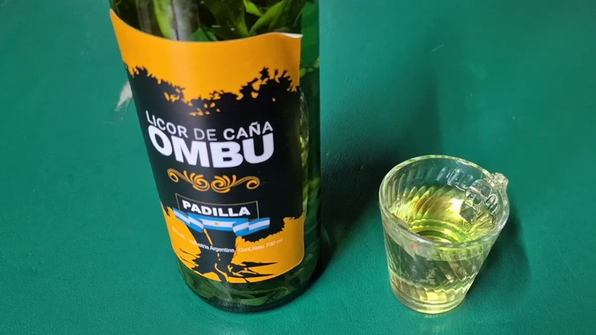 El bar de Mayoraz mantiene viva la tradición de la caña con ruda cada 1 de agosto en San Salvador El bar de Mayoraz mantiene viva la tradición de la caña con ruda cada 1 de agosto en San Salvador