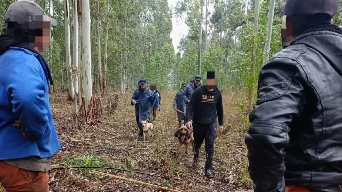 Un hombre pasó la noche perdido en el monte y fue localizado por perros de la Policía Un hombre pasó la noche perdido en el monte y fue localizado por perros de la Policía