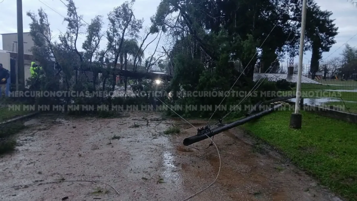 General Campos sufrió una fuerte granizada: hubo importantes daños General Campos sufrió una fuerte granizada: hubo importantes daños