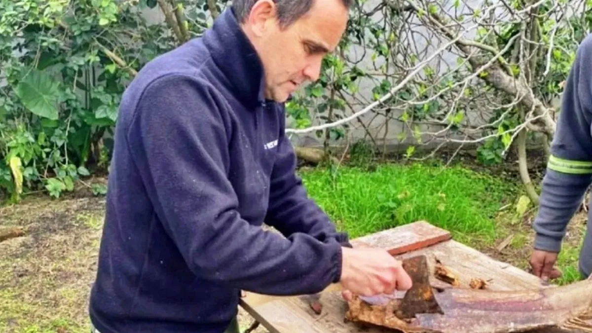 SENASA descartó el picudo rojo en muestras analizadas en Larroque y Urdinarrain SENASA descartó el picudo rojo en muestras analizadas en Larroque y Urdinarrain