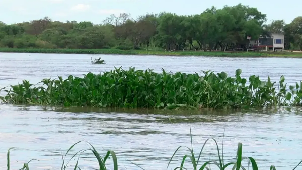 El río Paraná sigue creciendo y La Paz está a solo ocho centímetros del nivel de alerta El río Paraná sigue creciendo y La Paz está a solo ocho centímetros del nivel de alerta